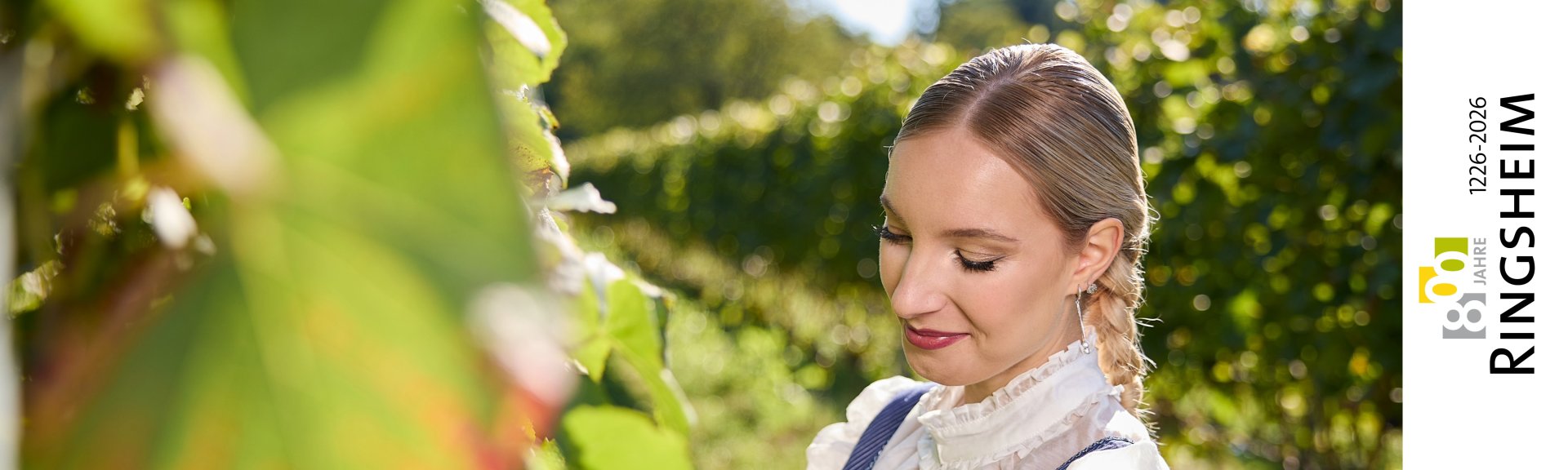 Blick auf Ringsheim Blick auf Ringsheim
